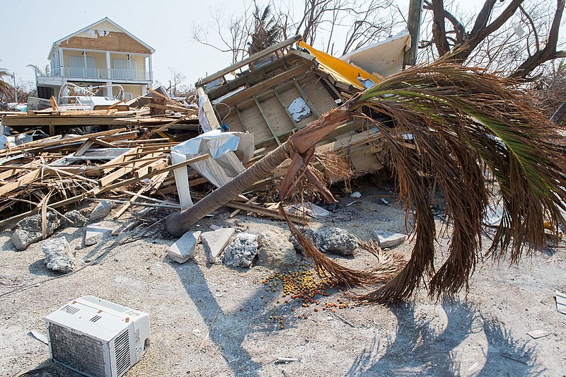 800px-FEMA_-_DSC7043_-Big_Pine_Key_neighborhood_devastated_by_Irma.jpg