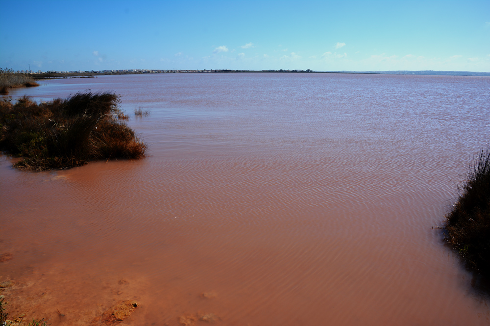 A.DSC_7382.jpg