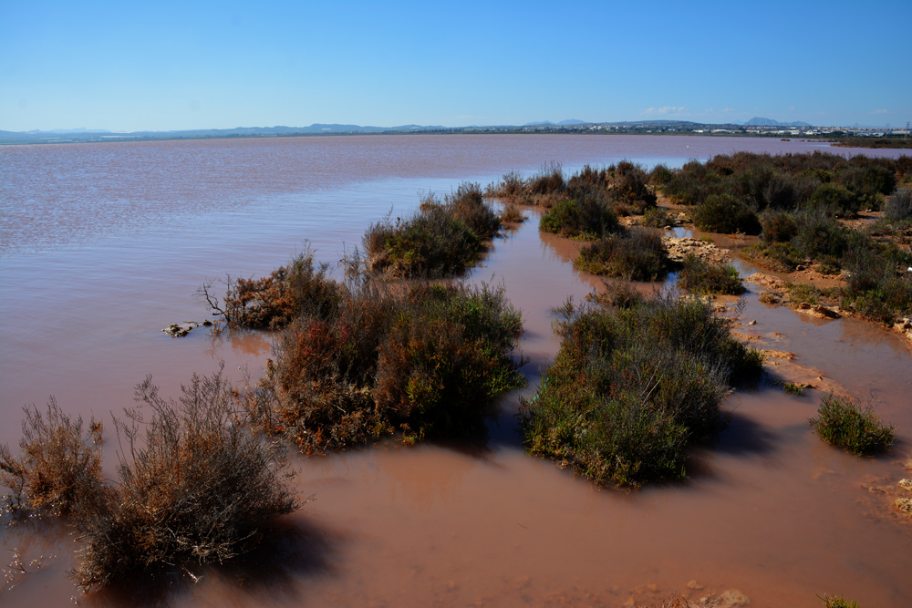 A.DSC_7386.jpg