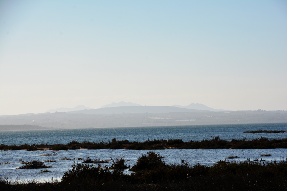 A.DSC_7413.jpg