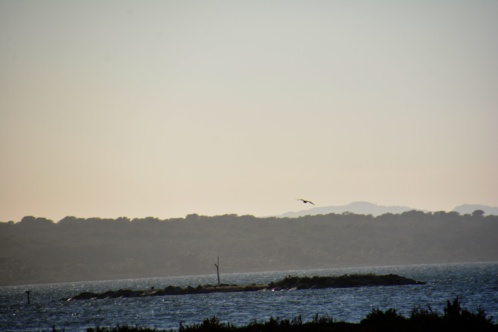 A.DSC_7418.jpg