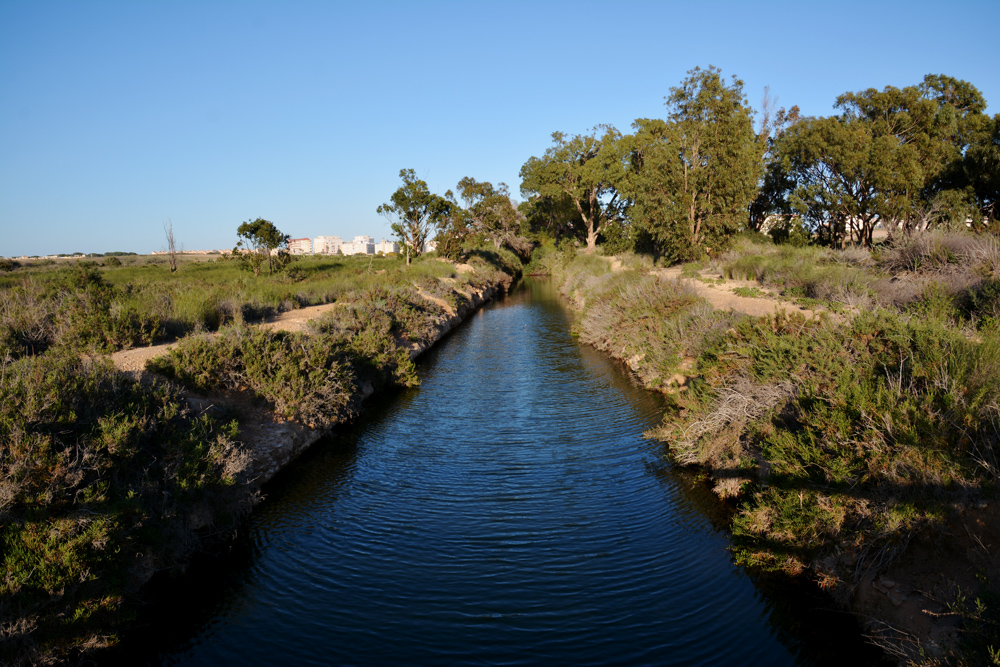 A.DSC_7419.jpg