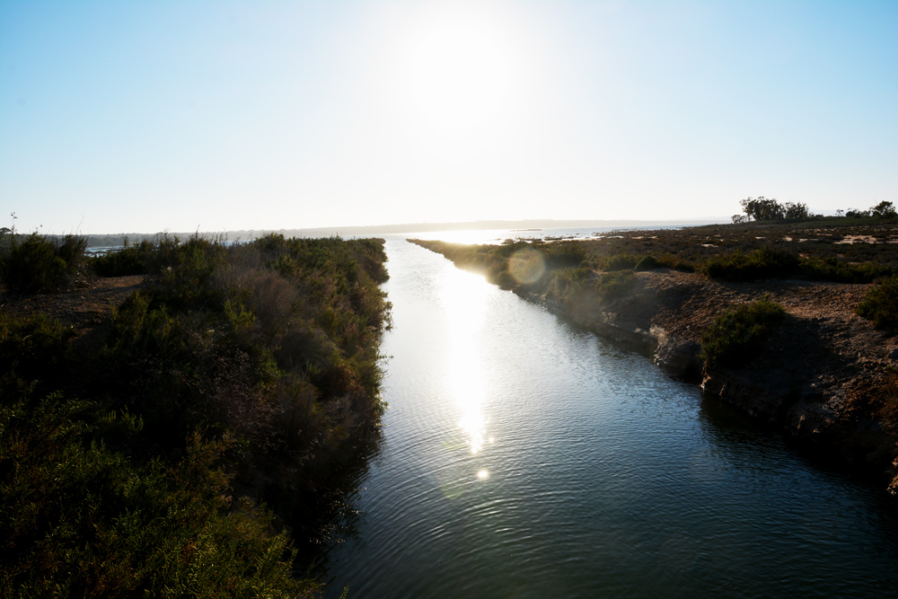 A.DSC_7420.jpg