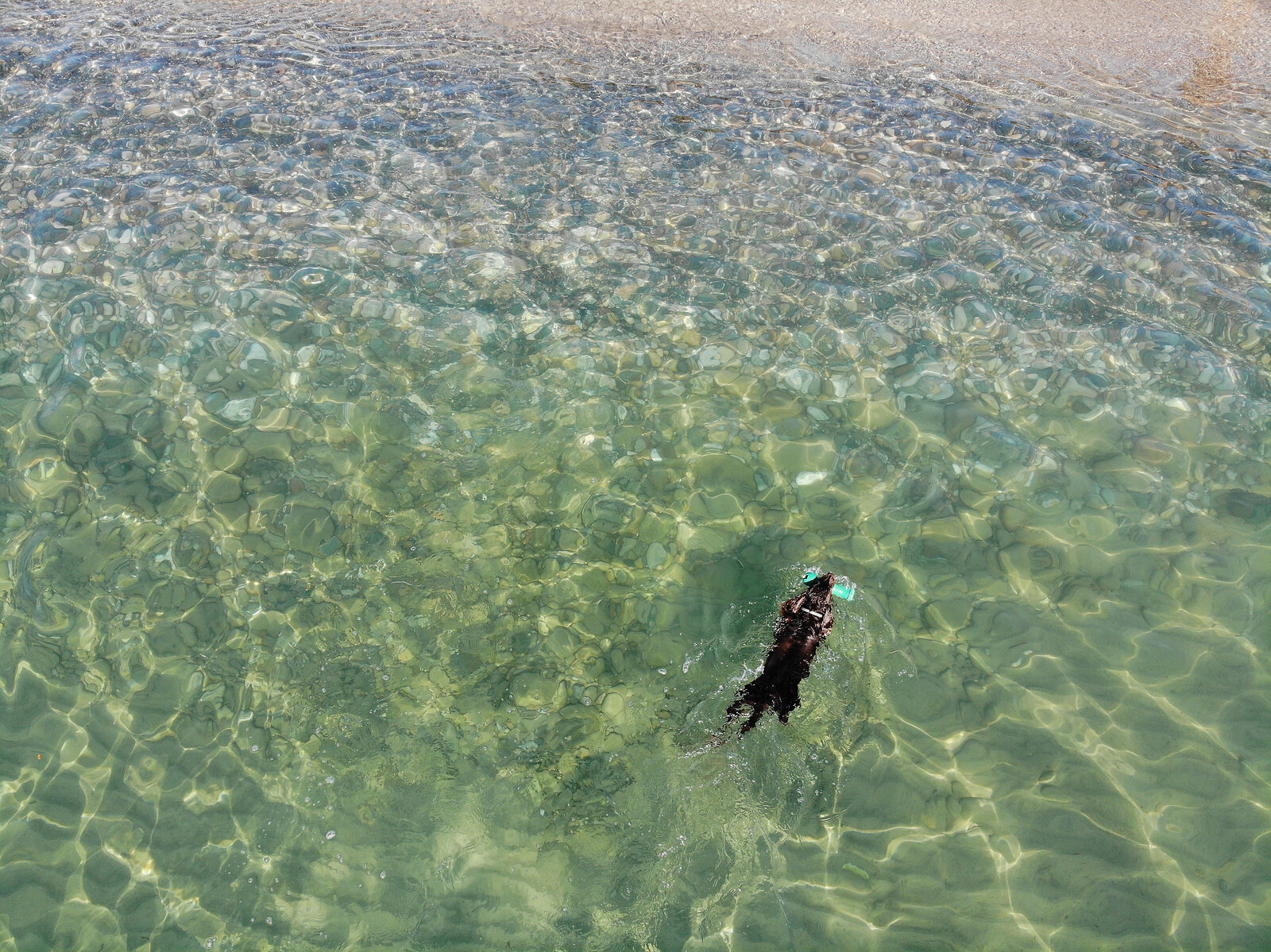 DJI_0132.jpg