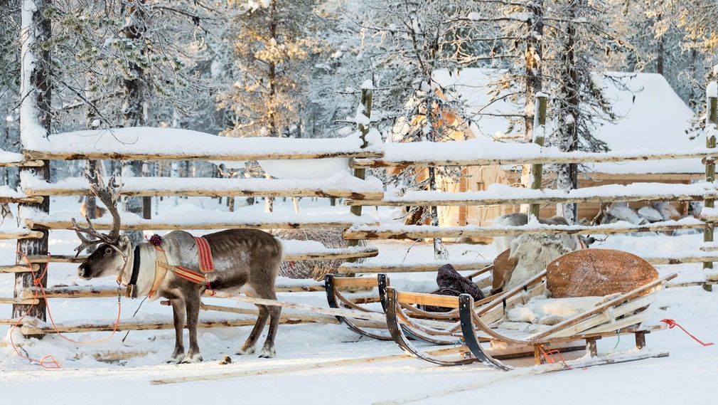God Jul.jpeg