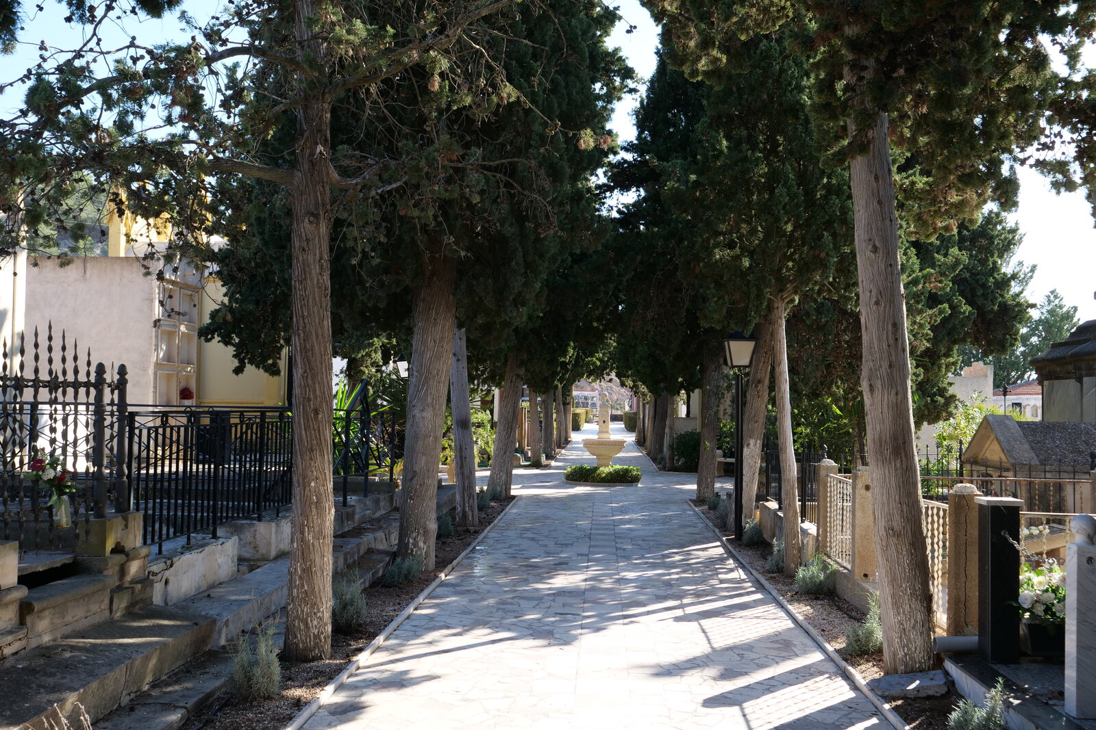 P1025569.jpg