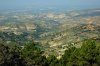 Olives_Jaen__Spain.jpg