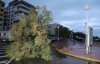 todos los santos viento y lluvia 2015.jpg