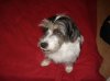 DSC08073.jpg
