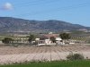 Finca La Molineta.jpg