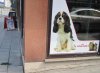 IMG_0057.jpg