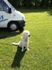 IMG_1601.JPG