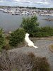 IMG_1500.JPG