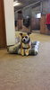 20180409_121158.jpg