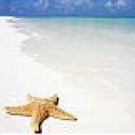 Estrella de Mar