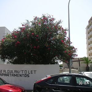 Torremolinos