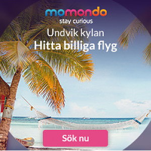 Momondo Fyrkant