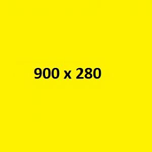 900 X 280