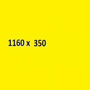 1160 X 280
