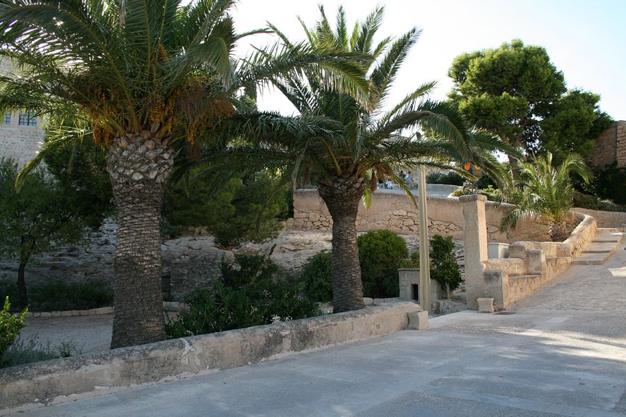 Castillo Santa Barbara, Alicante