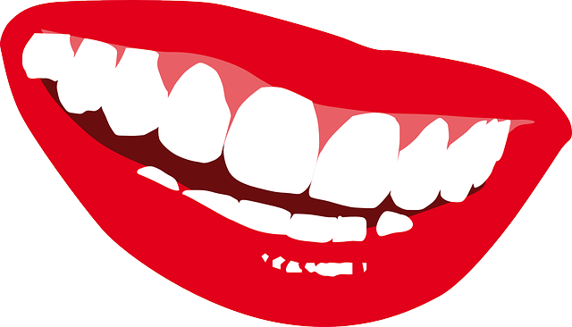 Lips-156991_640
